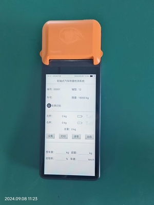 Scala portatile, sistema di pesatura in movimento, pedane con indicatore wireless