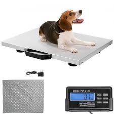 Scale di pavimento in acciaio inossidabile con indicatore pesatore animale