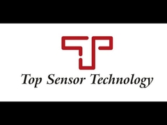 Scale digitale del camion con indicatore